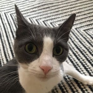 Meet your Posher, Marisa